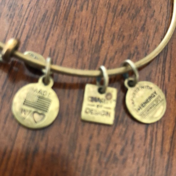 NWT Alex and Ani Women's Today Is An Opportunity charms Bangle Bracelet - Picture 4 of 7